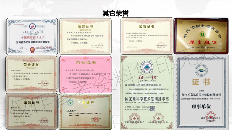 湖南柏嘉兄弟園林建設(shè)有限公司-企業(yè)宣傳 - 副本_20.jpg